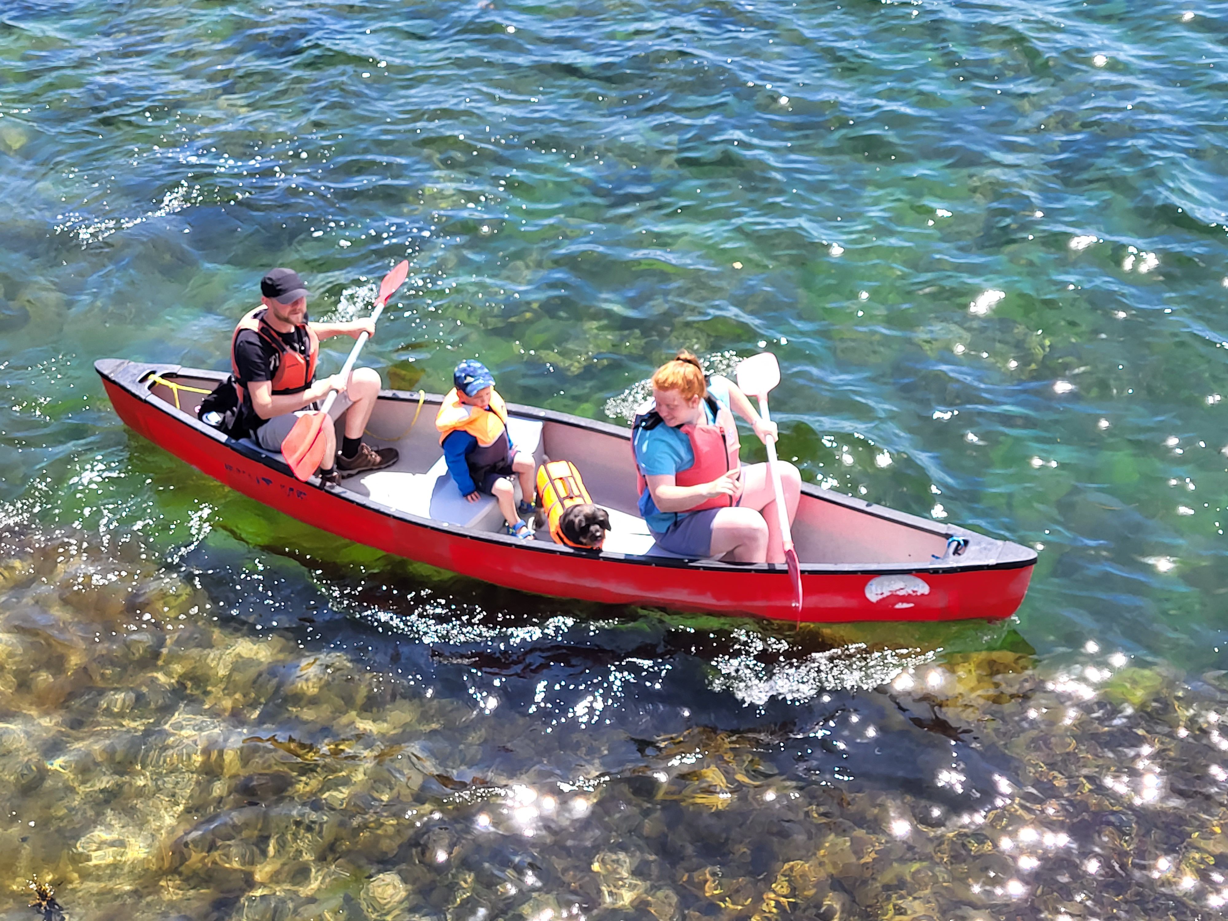 wild atlantic wildlife 2022 14