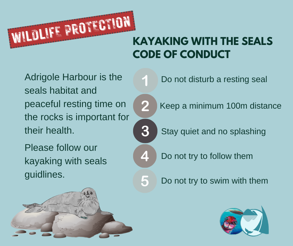 care for the seals